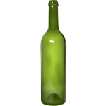 Detailed bottle vector image
