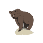 Brown bear 2017042635
