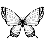 Butterfly Silhouette 11