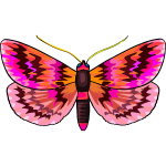Butterfly23