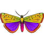 Butterfly32