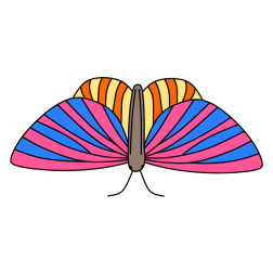 Butterfly XX