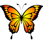 Butterfly vector image-1628111235