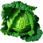 Green cabbage-1628111398