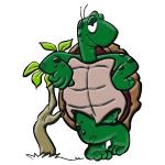 Cartoon turtle-1575552480