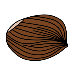 Chestnut 4