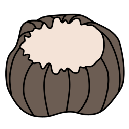 Chestnut 5