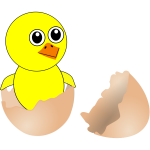 Newborn chicken in eggshell vector image