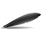 Black Feather Vector Image