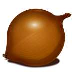 Onion vector image
