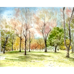 Forest landscape color illustration