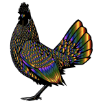 Chromatic Pattern Rooster