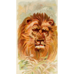 Painted lion