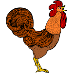 Cock 4