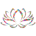 Colorful Lotus Flower Circles