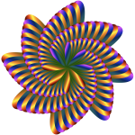 Colorful Nautilus 6