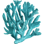 Coral3
