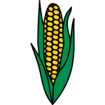 Corn3