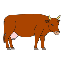 Cow I