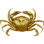 Crab4