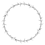 Circle of thorns