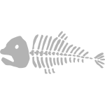 Dead Fish 002 2016112058