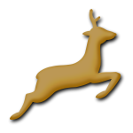 Deer3