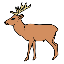 Deer 37