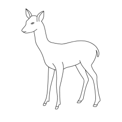 Deer 49