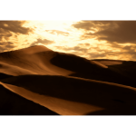 DesertScene