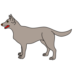 Dog I