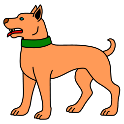 Dog in top shape 2