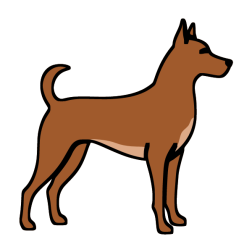 Dog in top shape