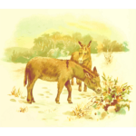 Donkeys illustration