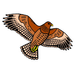 Eagle III