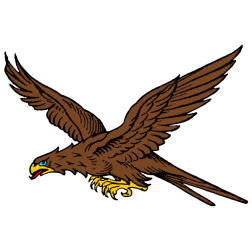Eagle VII