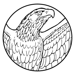 Eagle XIII