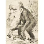 Charles Darwin ape