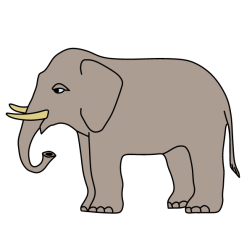 Elephant IV