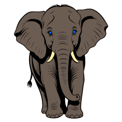 Elephant XIX