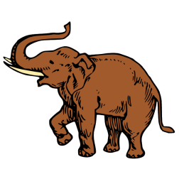Elephant XXII