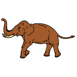 Elephant XXIV
