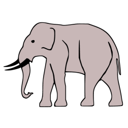 Elephant XXI