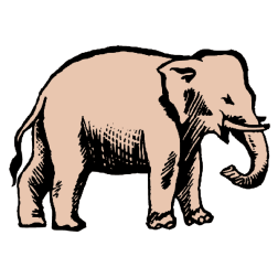 Elephant XXVI
