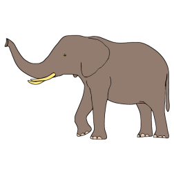 Elephant XXV