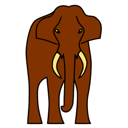 Elephant XX