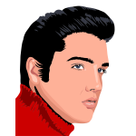 Elvis Presley vector image