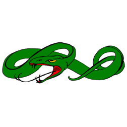 Evil old snake