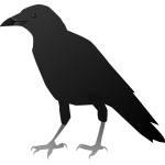 FX13 crow