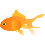 FX13 goldfish